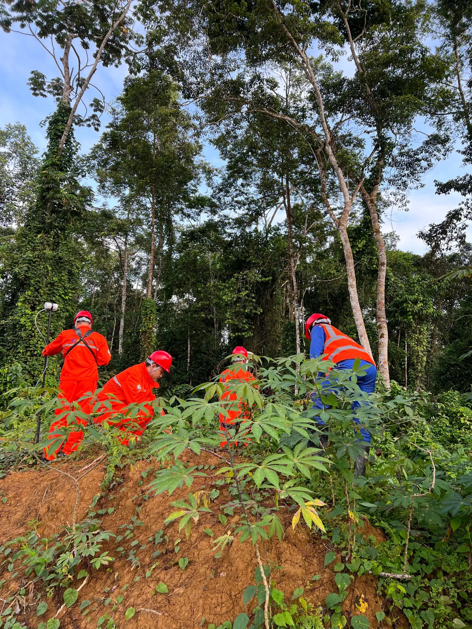 Travaux sur le terrain